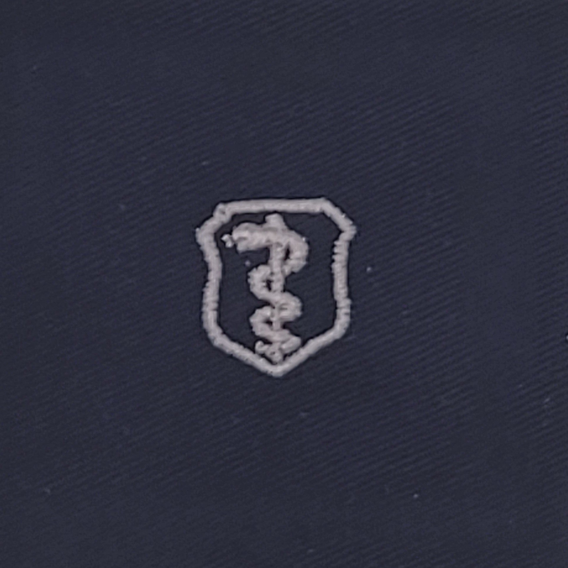 Civil Air Patrol: Insignia - A Basic Physician on Cloth (New Insignia)