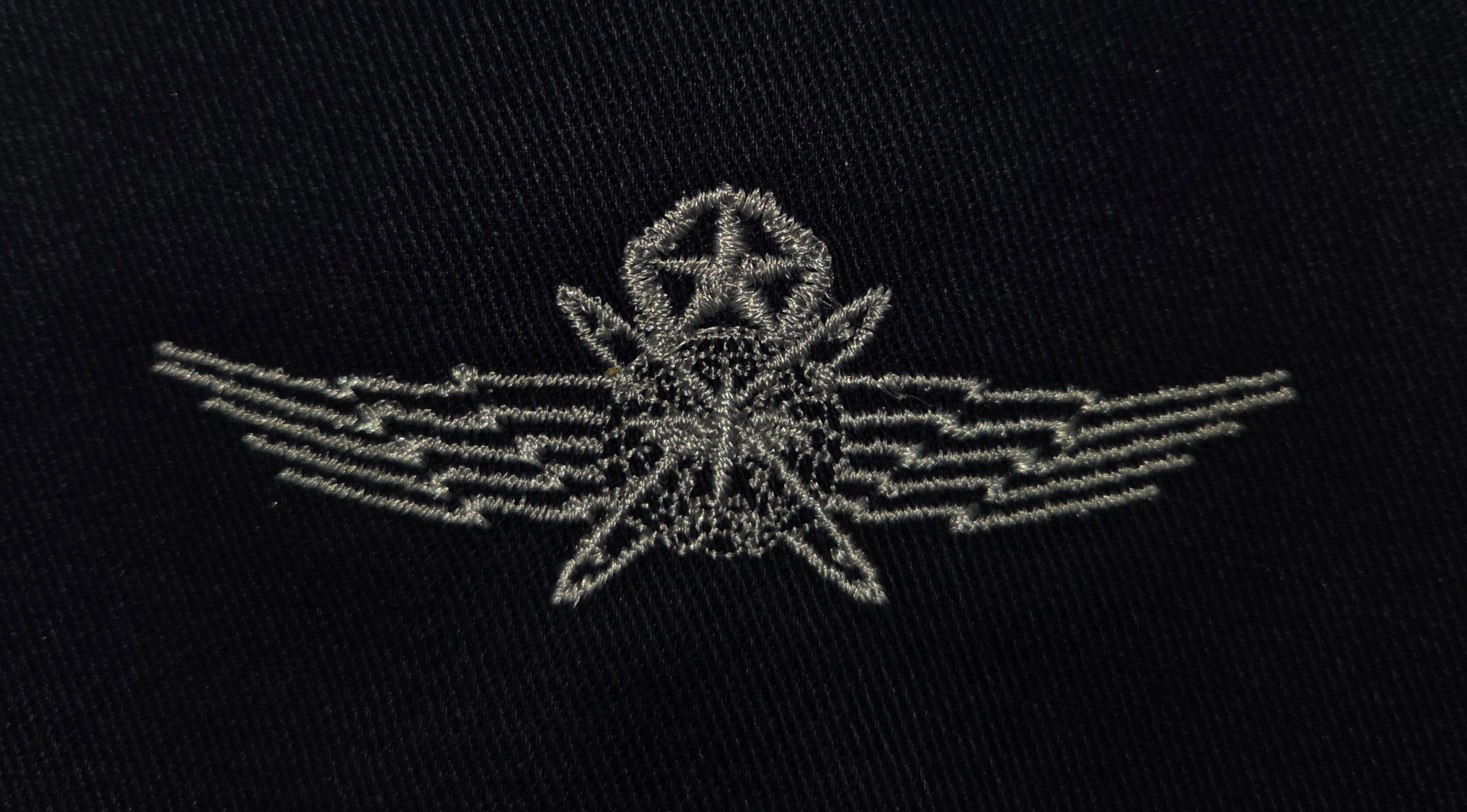 Civil Air Patrol: Insignia - A Master Cyberspace Operator on Cloth (New Insignia)