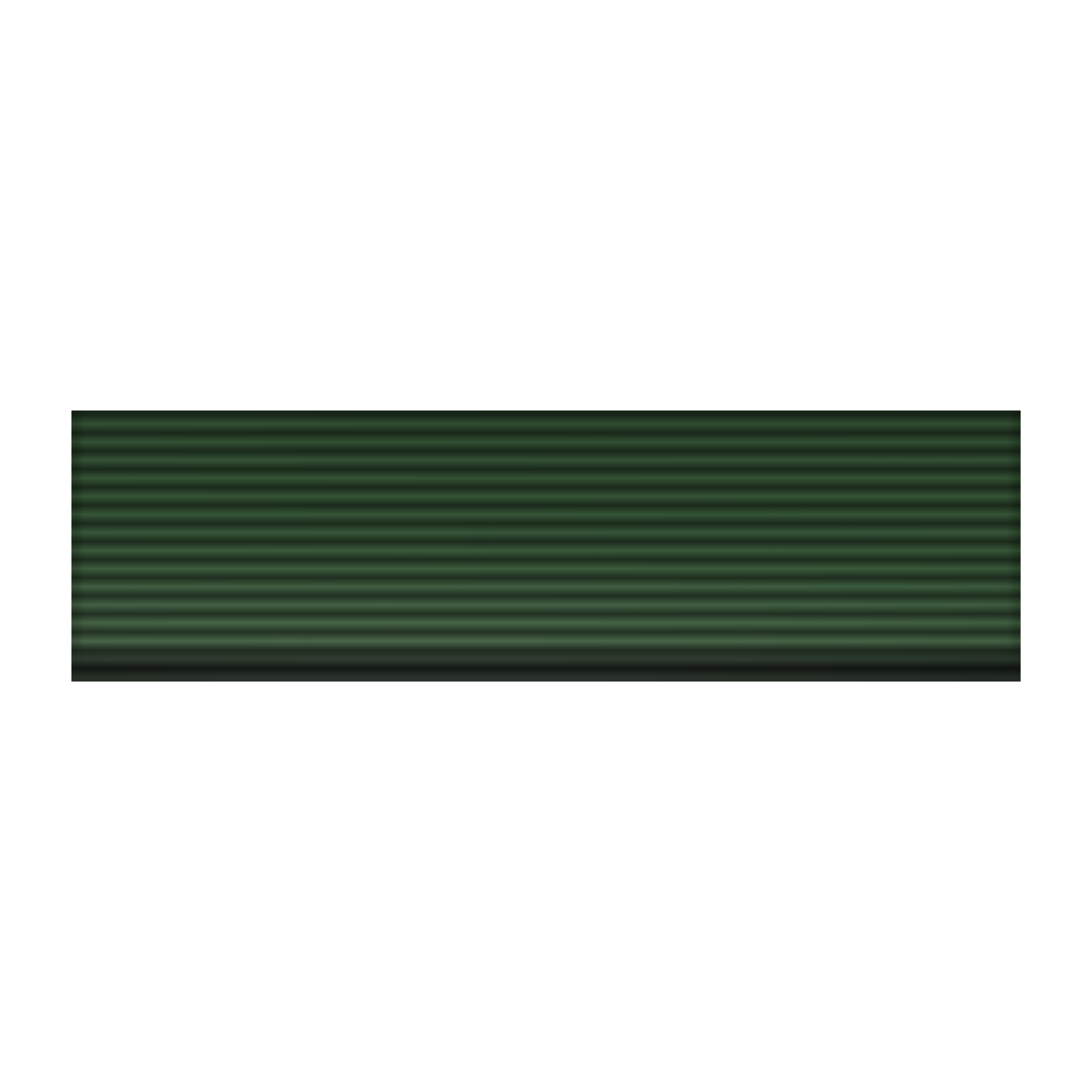 Navy ROTC Ribbon Unit: NJROTC CERT