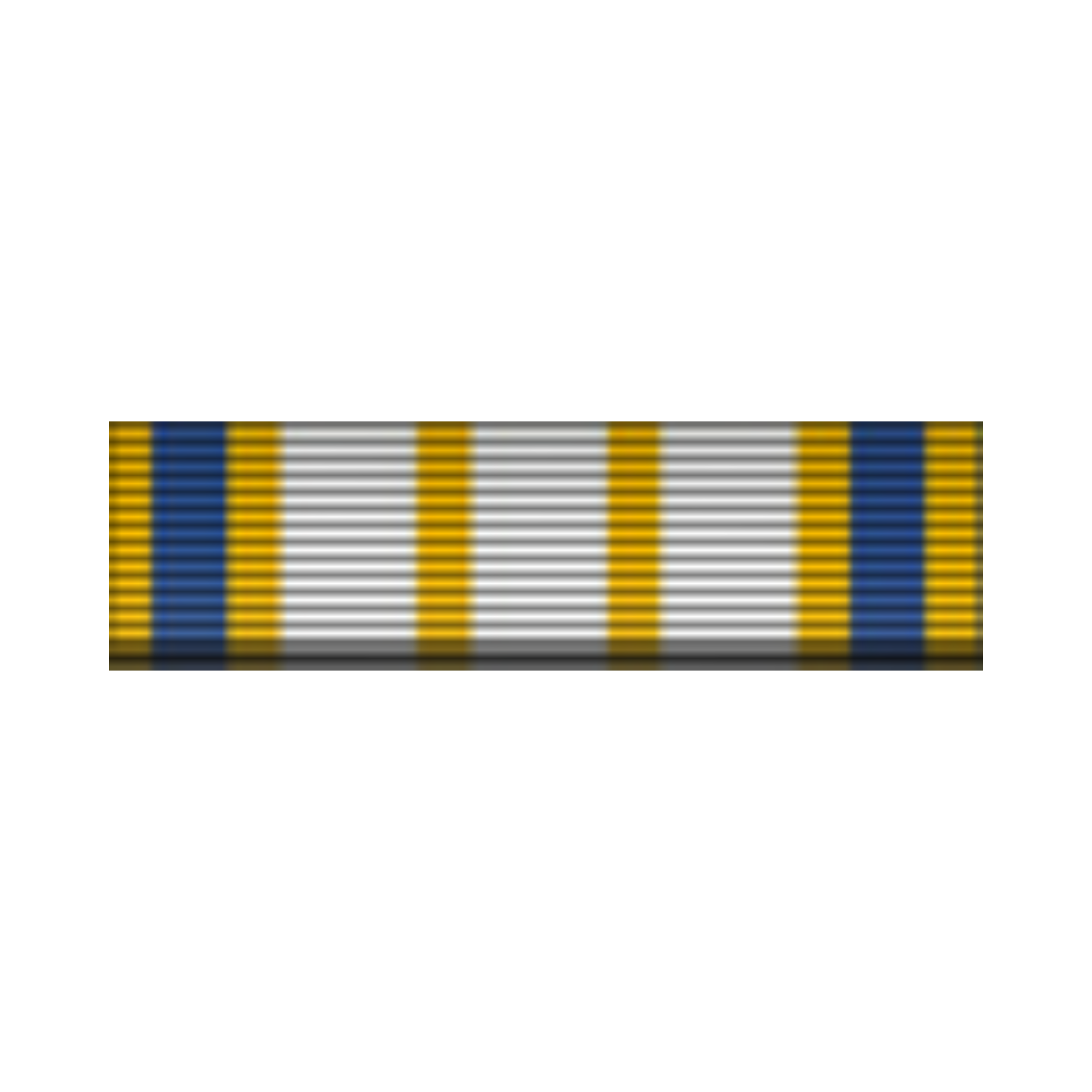 Navy ROTC Ribbon Unit: NJROTC STEM