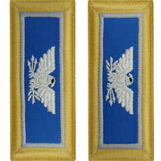 Army Shoulder Strap: Colonel Military Intelligence