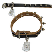 Pet Insignia - SMALL SPIKED LEATHER COLLAR WITH EGA TAG