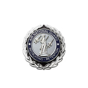 Air Force Identification Badge - Miniature: Air National Guard Basic Recruiting & Retention