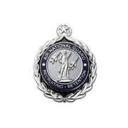 Air Force Identification Badge - Miniature: Air National Guard Master Recruiting & Retention
