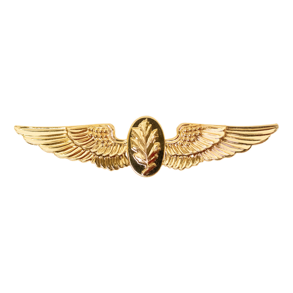 Navy Badge: Aviation Physiologist - regulation size