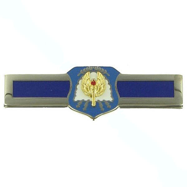 Air Force ROTC Badge: Distinguished Cadet