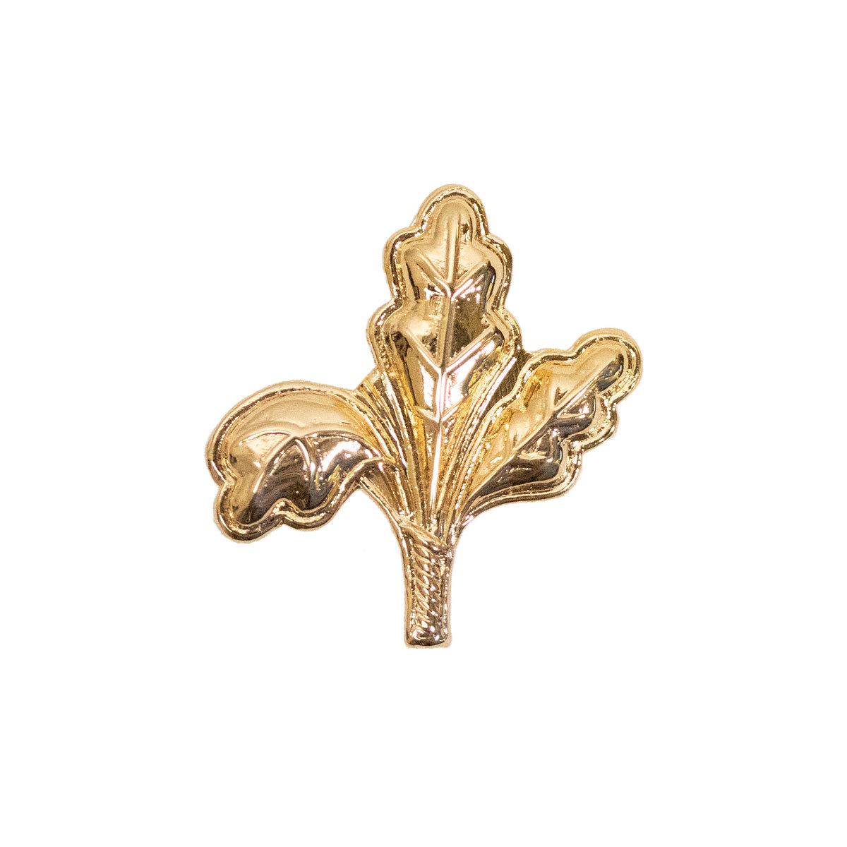 Coast Guard Collar Device: Finance and Supply