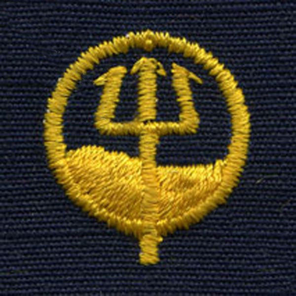 Coast Guard Embroidered Collar Device: Science Technologist - Ripstop fabric