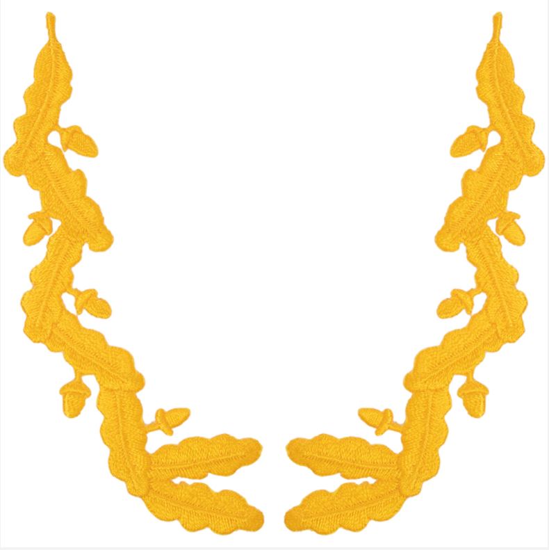 Navy Scrambled Eggs: For Captain/Commander Ranks