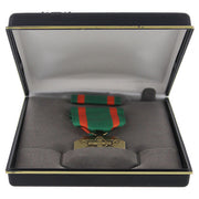Medal Presentation Set: Navy Achievement