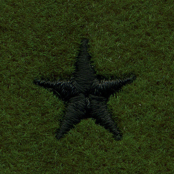 Army Leadership Rank Tab: Brigadier General