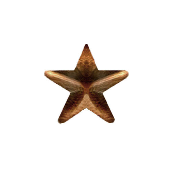 Ribbon Attachments: 5/16 inch Bronze Star