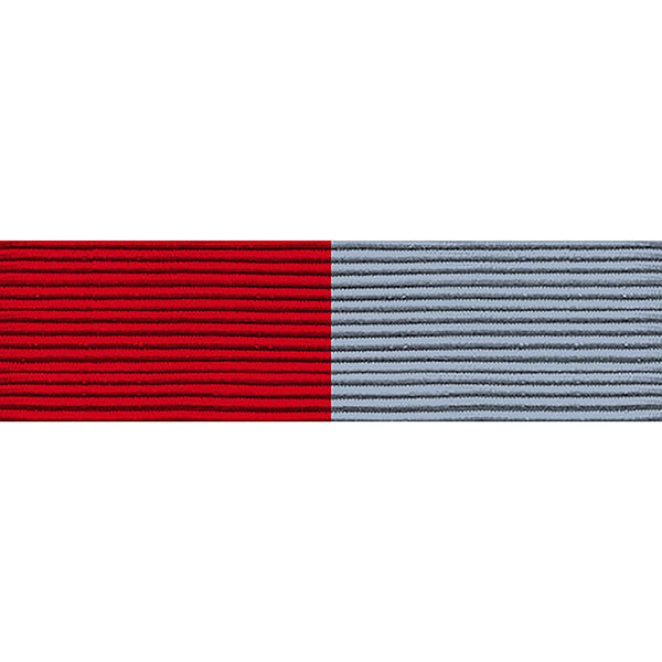 Ribbon Unit #3213: Young Marines Drill Team