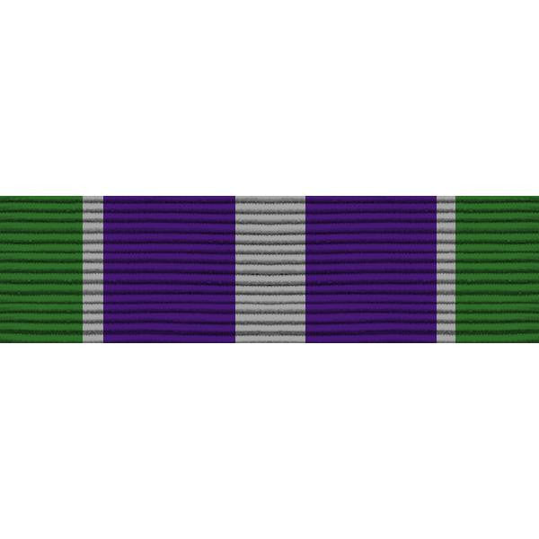 Army ROTC Ribbon Unit: N-1-8: AJROTC Honor Cadet
