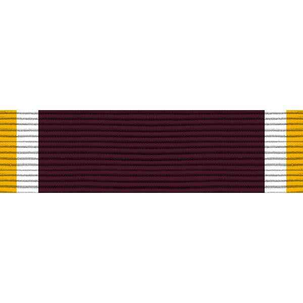 Navy ROTC Ribbon Unit: NJROTC Drill Team