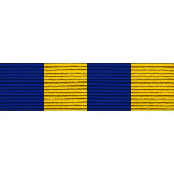 Navy ROTC Ribbon Unit: NJROTC Physical Fitness