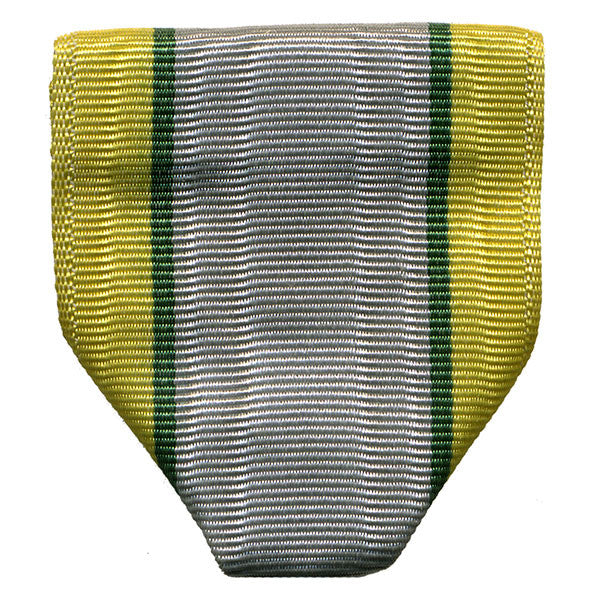 Army N-1-5: AJROTC Student Government ROTC Ribbon Drape