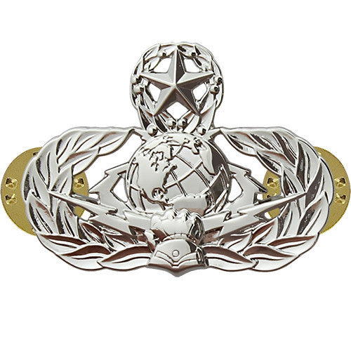 Air Force Badge: Cyberspace Support: Master - midsize