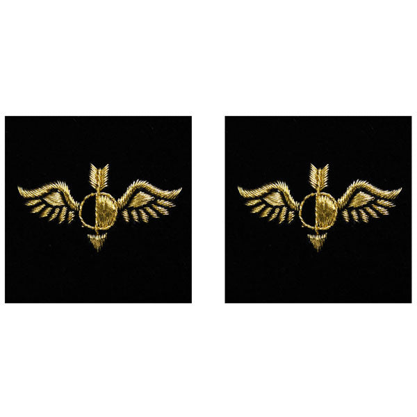 Navy Sleeve Device: Aerographer