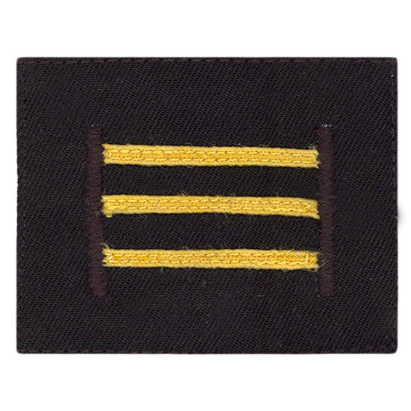 Navy ROTC Sleeve Device: Senior