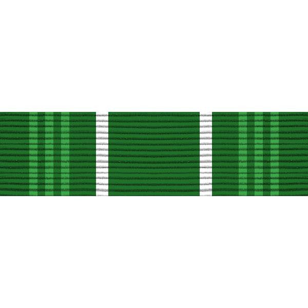 Civil Air Patrol Ribbon: National Color Guard: Senior and Cadet