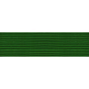 Civil Air Patrol Unit Citation: Senior and Cadet