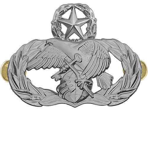Air Force Badge: Logistics Readiness: Master - midsize