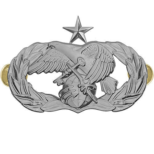 Air Force Badge: Logistics Readiness: Senior - midsize