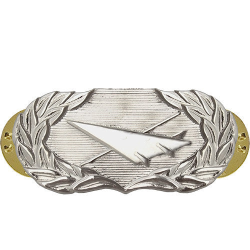 Air Force Badge: Historian - midsize