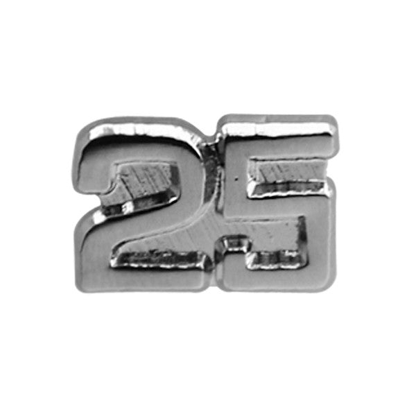 Civil Air Patrol Pin: 25 Year Longevity Service