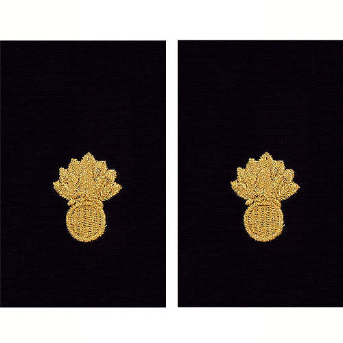 Navy Sleeve Device: Ordnance Technician