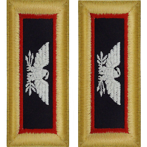 Army Shoulder Strap: Colonel Adjutant General