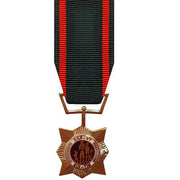 Miniature Medal: Vietnam Civil Action Second Class