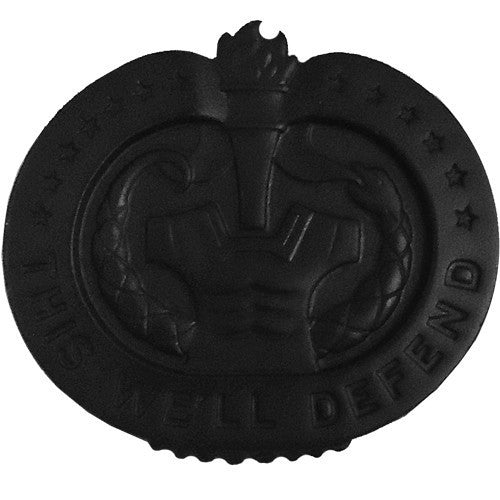 Army Identification Badge: Drill Sergeant - black metal