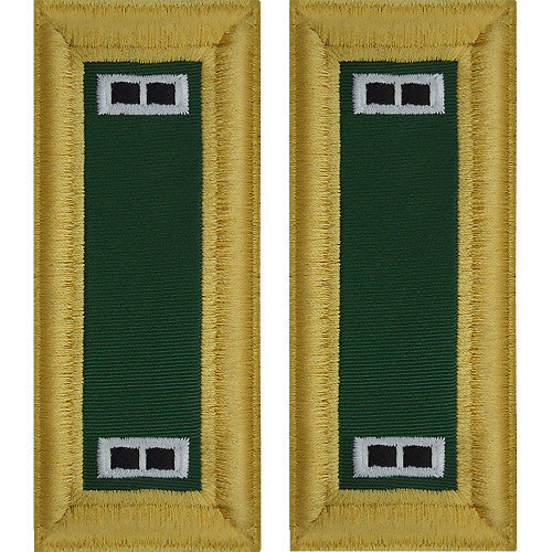 Army Shoulder Strap: Warrant Officer 2: Special Forces