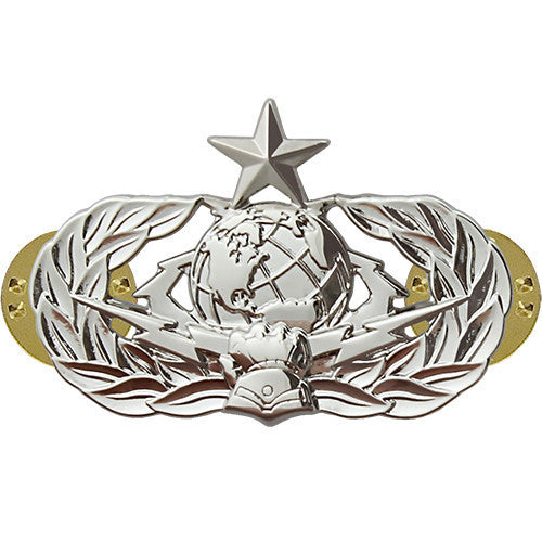 Air Force Badge: Cyberspace Support: Senior - regulation size