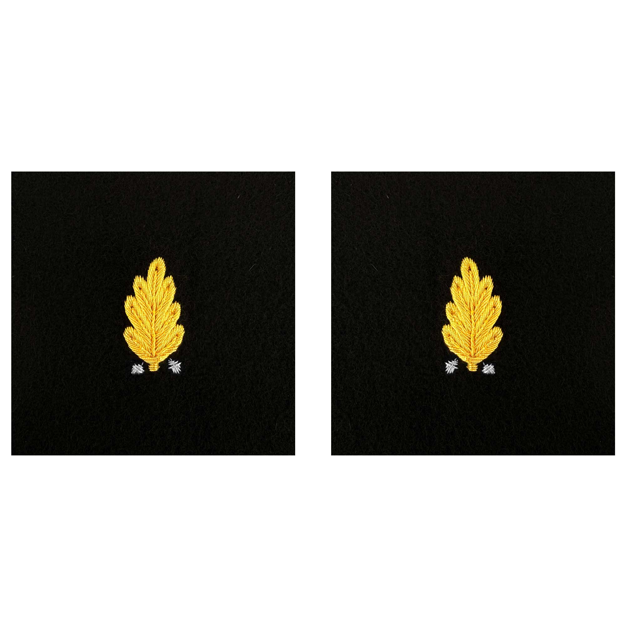 Navy Sleeve Device: Dental Corps