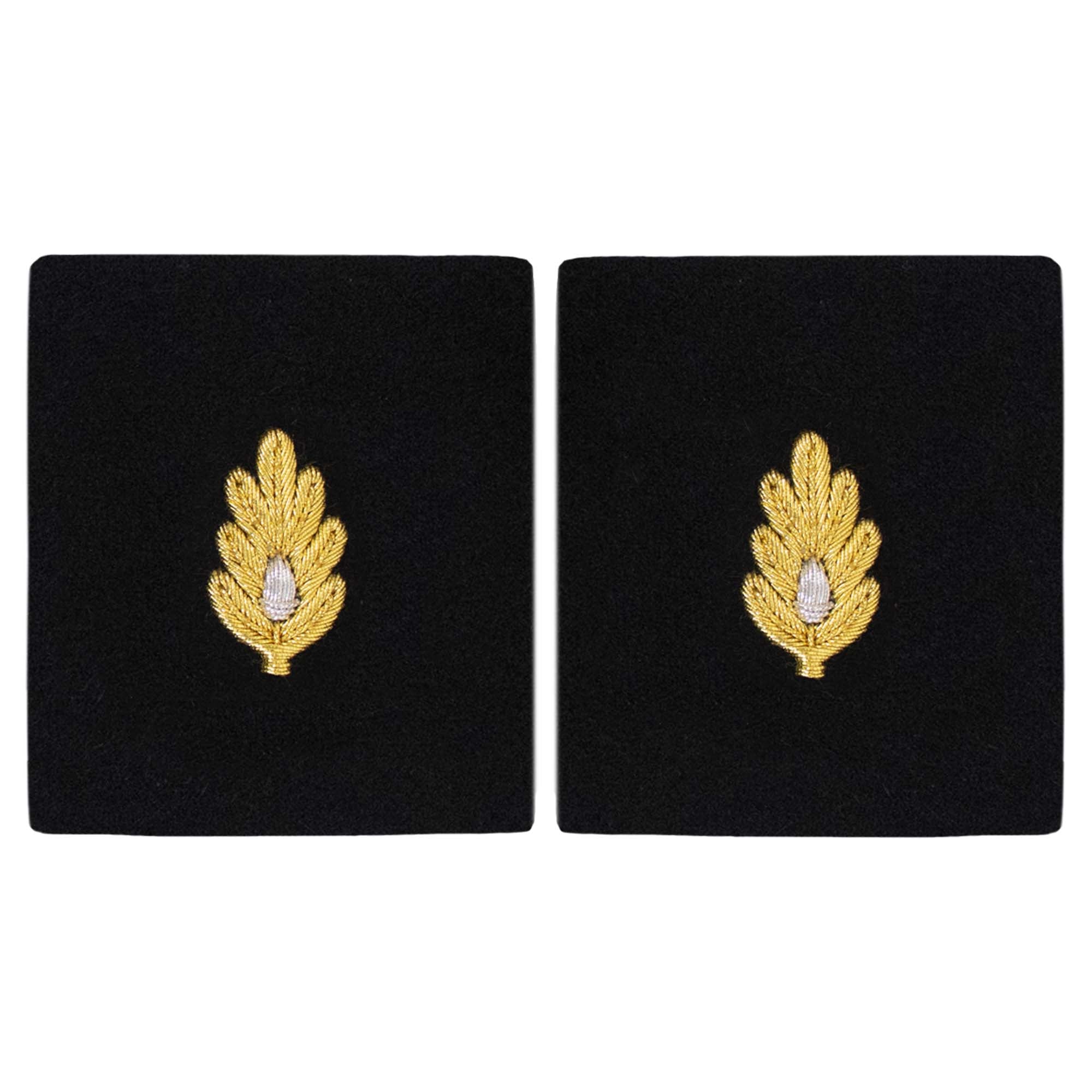 Navy Sleeve Device: Medical Corps
