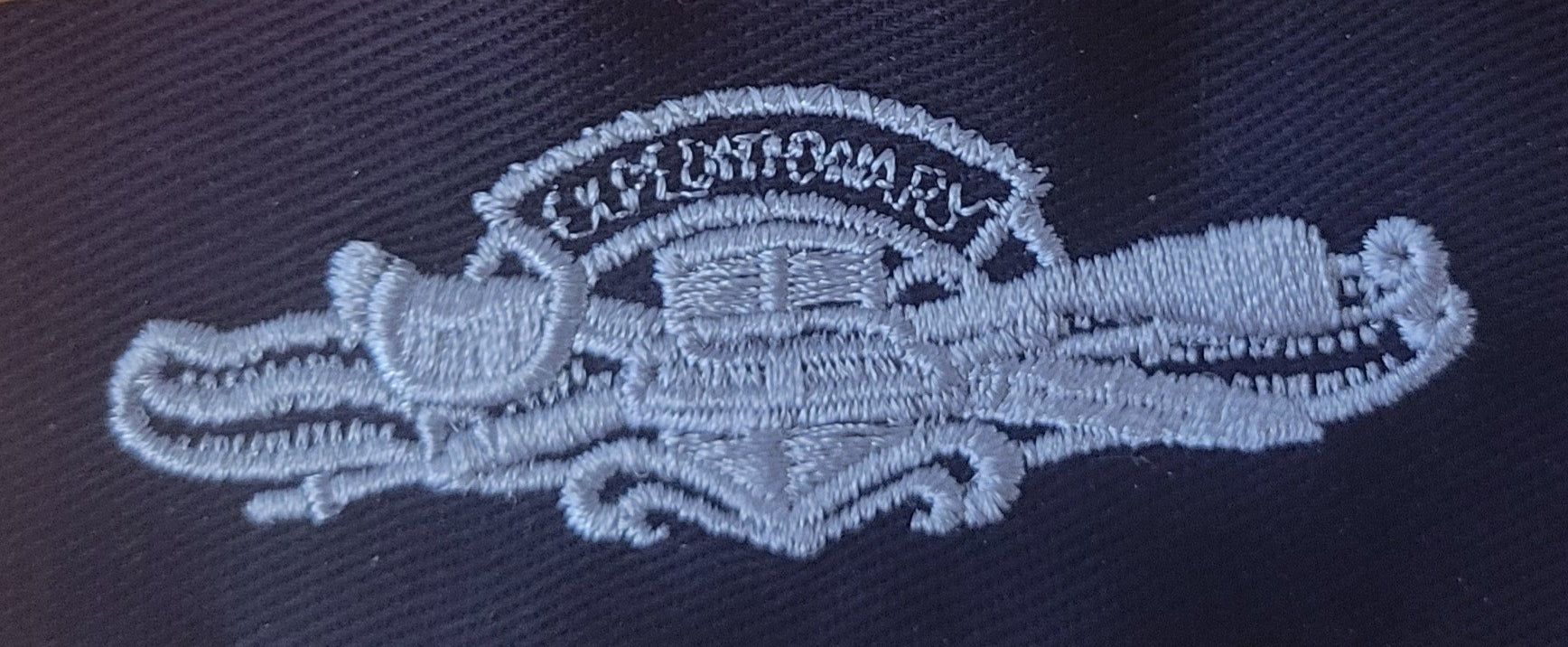 Civil Air Patrol:  Insignia- N Expeditionary Warfare Cloth (New Insignia)