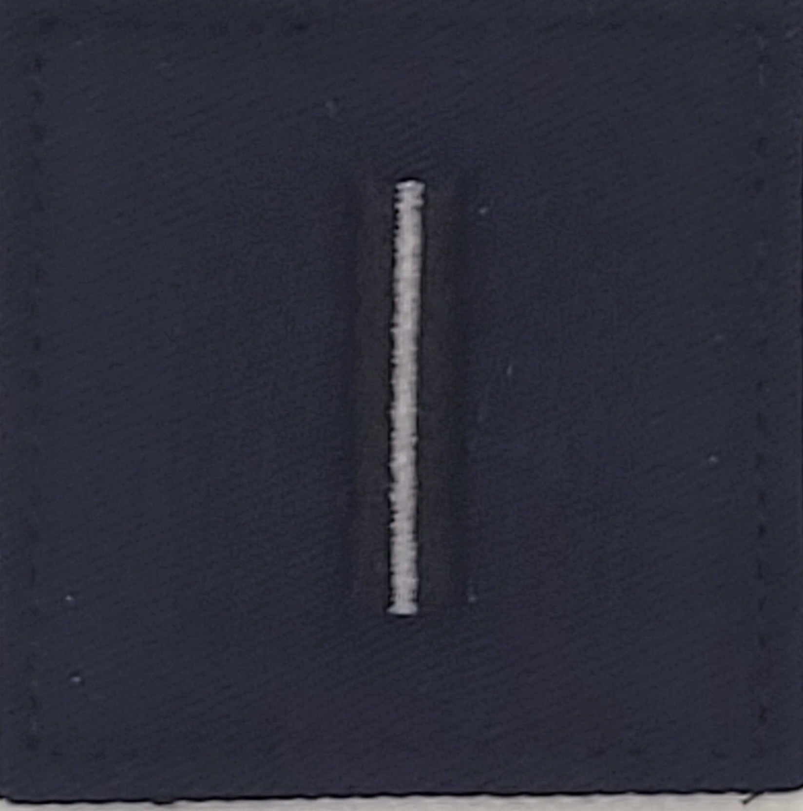 Civil Air Patrol Senior Grade Fleece Rank: Flight Officer (New Insignia)
