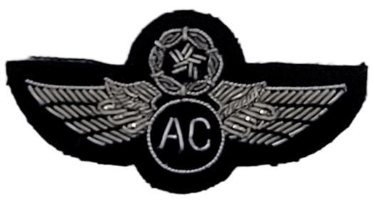 Civil Air Patrol Mess Dress: Senior Aircrew Wings - bullion embroidered