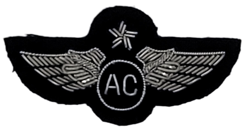 Civil Air Patrol Mess Dress: Master Aircrew Wings - bullion embroidered