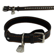 Pet Insignia - XL SPIKED LEATHER COLLAR WITH EGA TAG