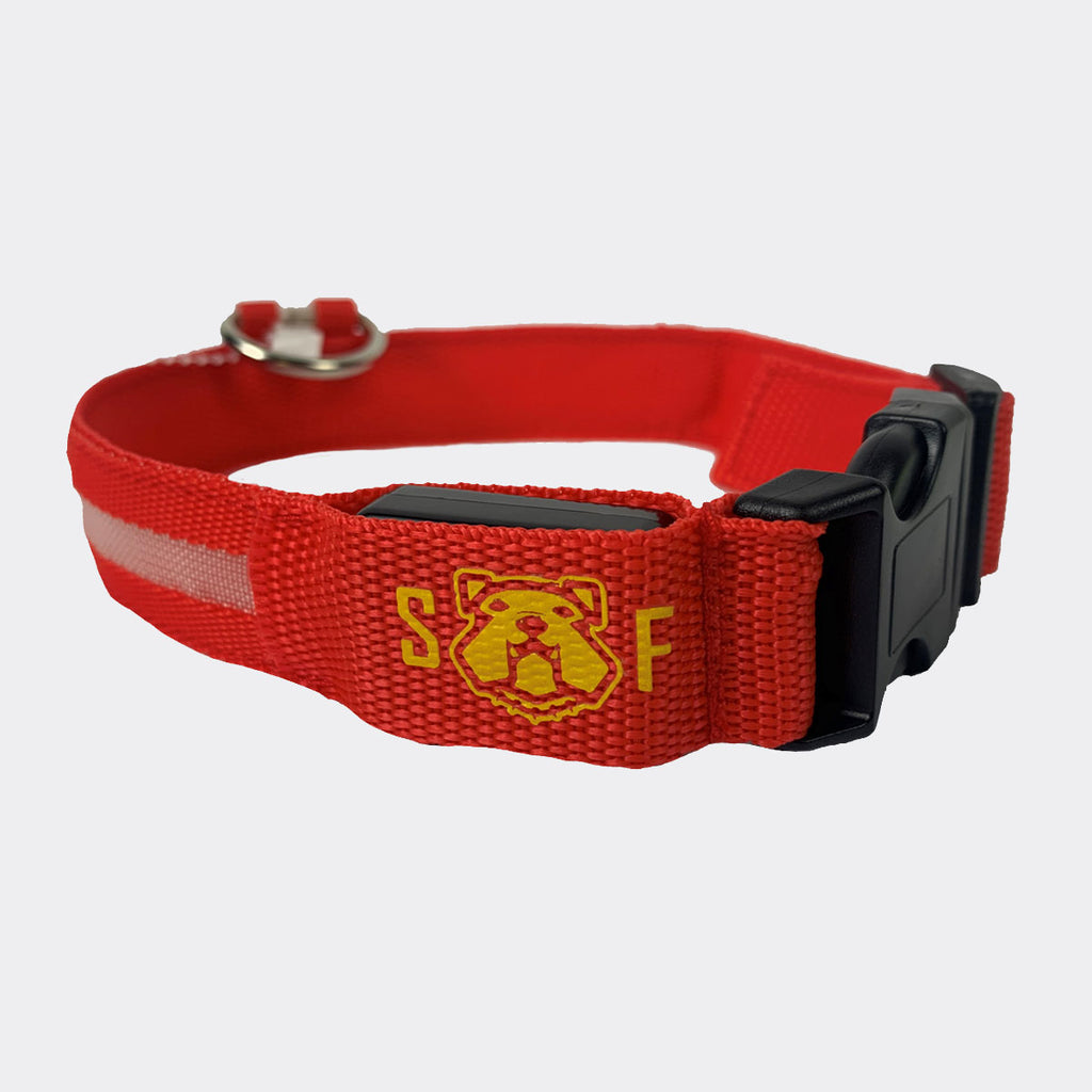 US Marine Corps Pet Collar: Semper Fido Red Led