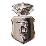 Air Force Badge: Dentist: Chief