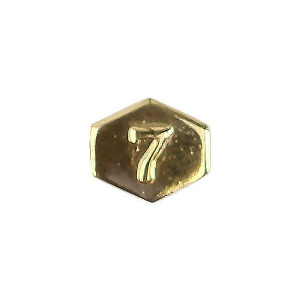 Army Identification Badge Attachment: Director 7 - gold mirror finish