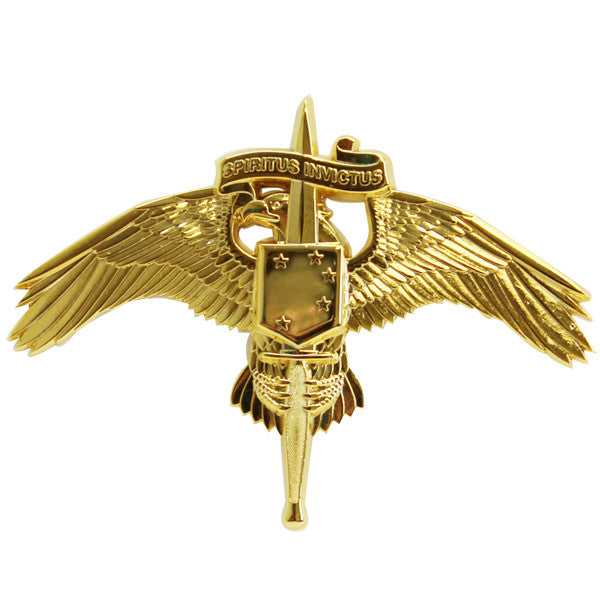 Marine Corps Badge: MARSOC Marine Corps Forces Special Operations Command