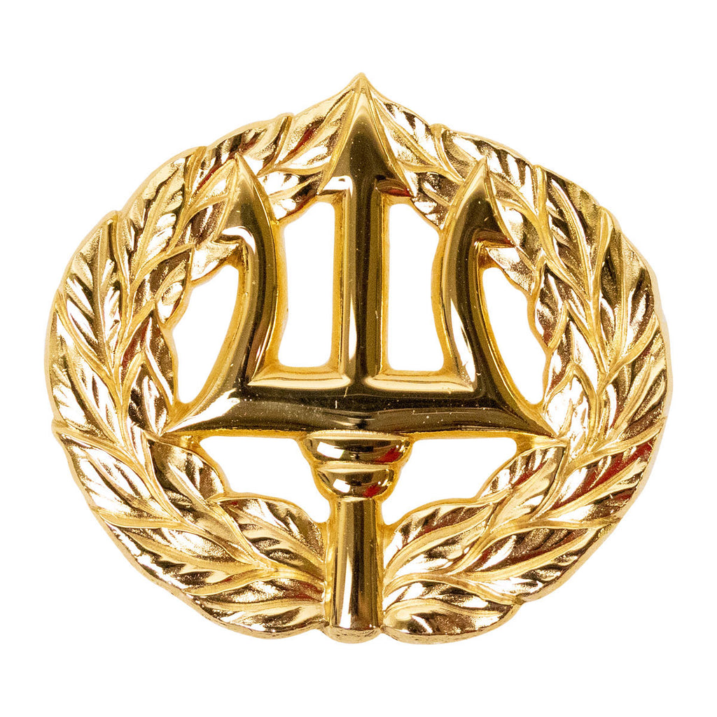 Navy Badge: Command Ashore - regulation size