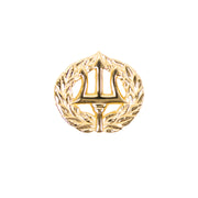 Navy Badge: Command Ashore - miniature, gold  finish