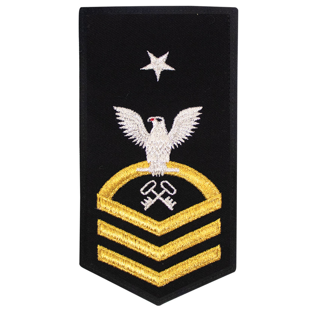 Navy E8 FEMALE Rating Badge: LS Logistics Specialist - seaworthy gold on blue